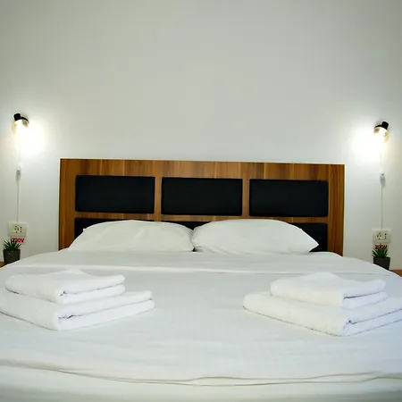 Guest house Casuta Lui Ion