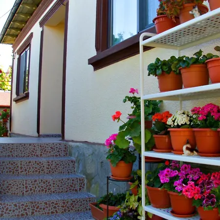 Casuta Lui Ion Guest house *