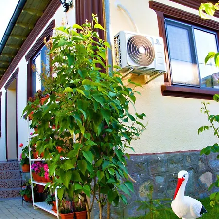 Casuta Lui Ion Affittacamere