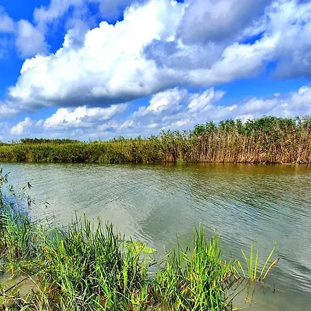 Casuta Lui Ion Gasthuis